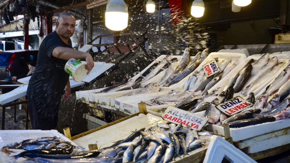 Balık fiyatlarında düşüş başladı