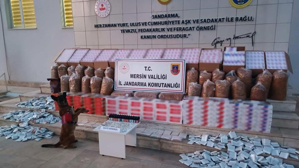 Mersin'de kaçakçılıkla mücadele, 208 bin adet makaron ele geçirildi