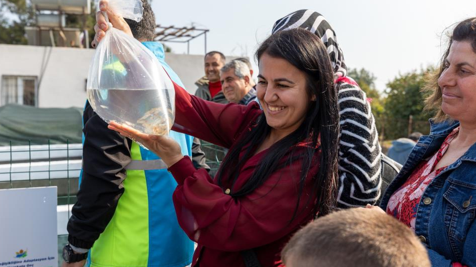 Mersin'de kadınlar haşere mücadelesi için lepistes balığı yetiştirecek