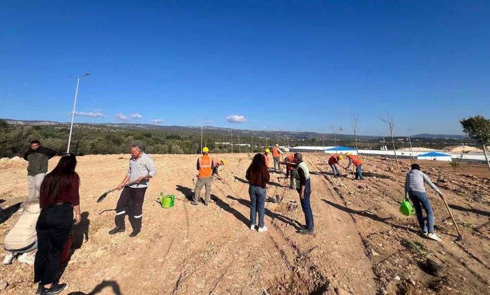 Mersin'de otoban yol kenarları ağaçlandırılıyor