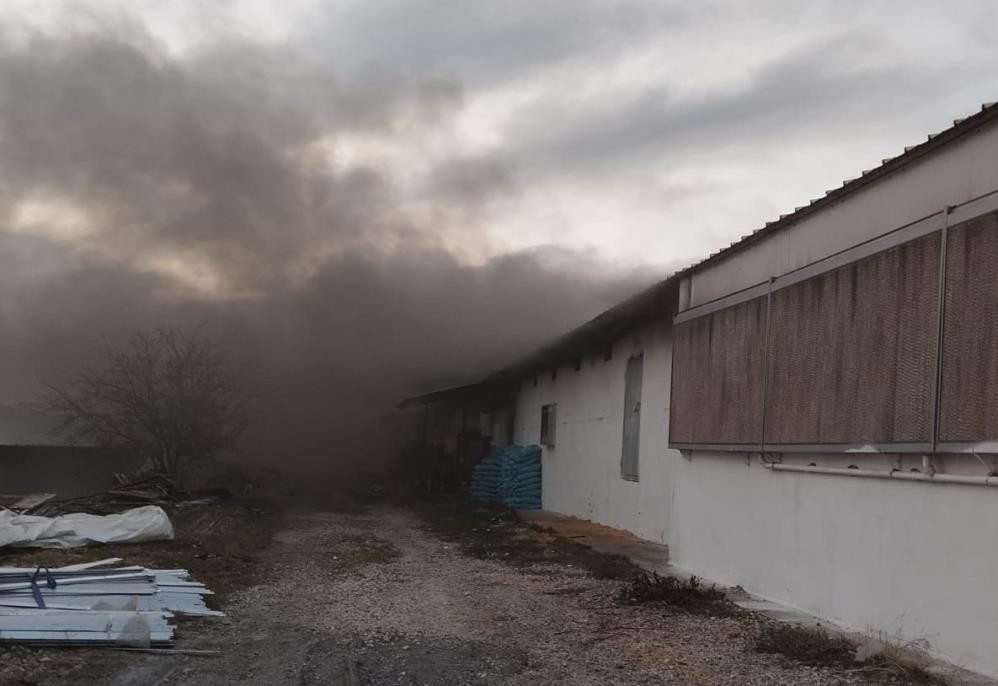 Mersin'de tavuk çiftliğinde yangın: Binlerce civciv telef oldu