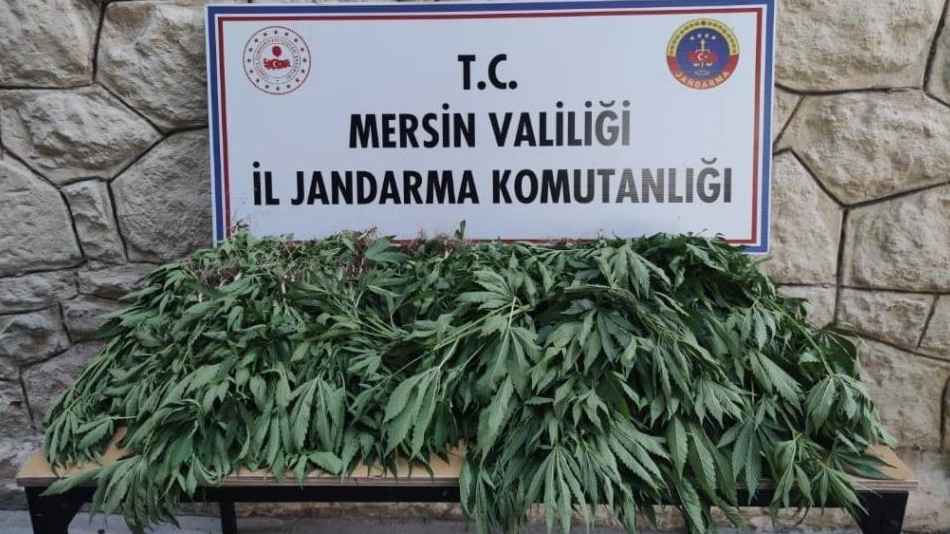 Mersin'de uyuşturucu serası kuran şüpheli yakalandı